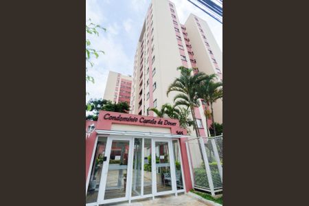 Apartamento para alugar com 65m², 3 quartos e 1 vaga Apartamento para alugar com 65m², 3 quartos e 1 vagaFachada e portaria