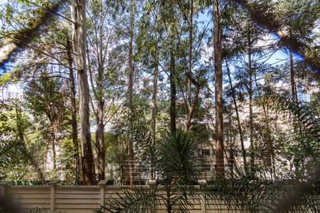 Vista do Quarto 1 de apartamento para alugar com 2 quartos, 47m² em Jardim Helga, São Paulo