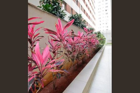 Apartamento à venda com 2 quartos, 57m² em Santa Cecilia, São Paulo