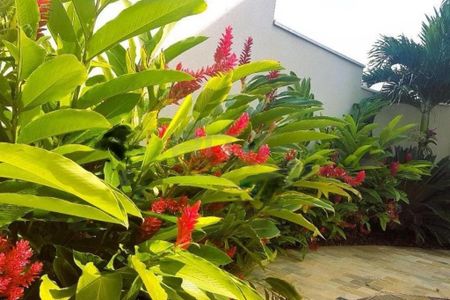 Casa à venda com 351m², 3 quartos e 2 vagas