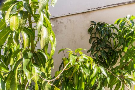 Casa de condomínio à venda com 385m², 4 quartos e 4 vagas Casa de condomínio à venda com 385m², 4 quartos e 4 vagasVista da Suíte 3