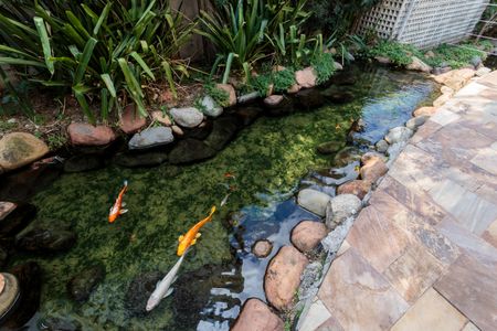 Apartamento à venda com 49m², 1 quarto e 1 vagaÁrea comum