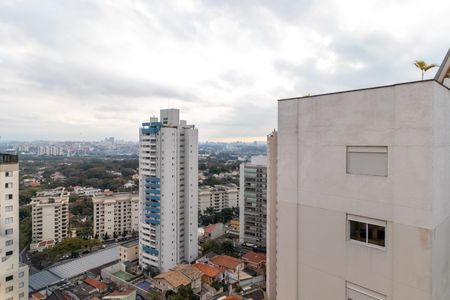Apartamento à venda com 301m², 3 quartos e 3 vagasVaranda da Suíte 1