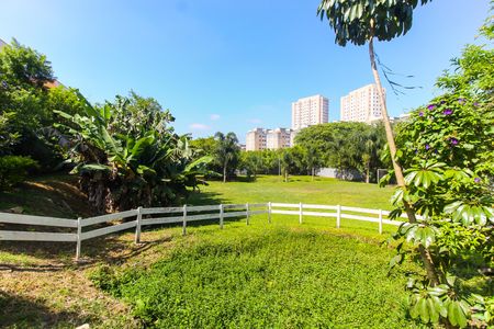 Apartamento para alugar com 56m², 2 quartos e 1 vaga Apartamento para alugar com 56m², 2 quartos e 1 vagaÁrea comum