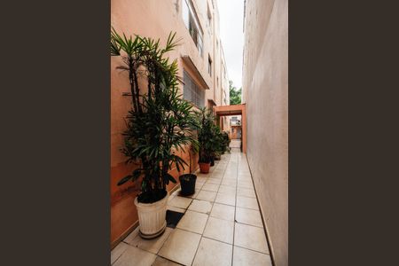 Apartamento à venda com 50m², 1 quarto e sem vagaCorredor