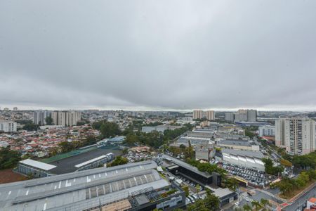 Apartamento para alugar com 266m², 4 quartos e 4 vagas Apartamento para alugar com 266m², 4 quartos e 4 vagasVista da Suite 3