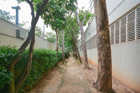 Apartamento para alugar com 266m², 4 quartos e 4 vagas Apartamento para alugar com 266m², 4 quartos e 4 vagasÁrea comum