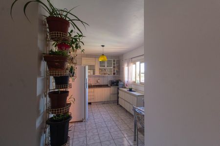 Apartamento à venda com 44m², 3 quartos e sem vaga Apartamento à venda com 44m², 3 quartos e sem vagaCozinha