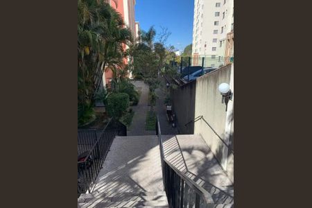 Apartamento à venda com 75m², 3 quartos e 1 vaga