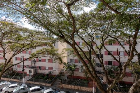 Apartamento à venda com 75m², 3 quartos e 1 vaga Apartamento à venda com 75m², 3 quartos e 1 vagaVista do Quarto 1