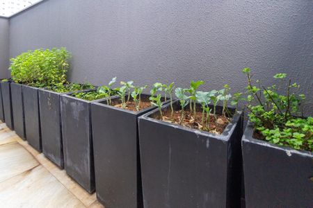 Apartamento à venda com 24m², 1 quarto e sem vagaHorta