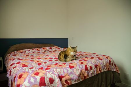 Apartamento à venda com 70m², 3 quartos e 2 vagasSuíte