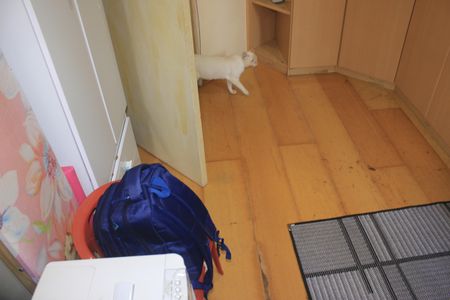 Apartamento à venda com 57m², 2 quartos e 1 vagaQuarto 1