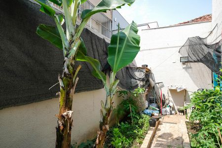 Casa à venda com 442m², 4 quartos e 6 vagasQuintal