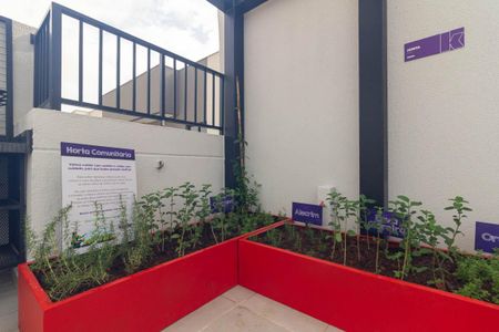 Apartamento à venda com 27m², 1 quarto e sem vaga Apartamento à venda com 27m², 1 quarto e sem vagaÁrea comum - Horta