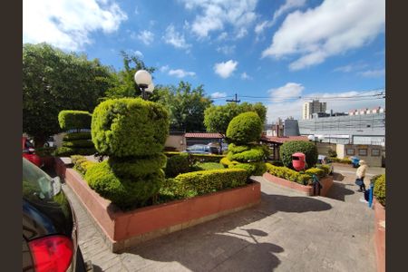 Apartamento para alugar com 61m², 2 quartos e 1 vaga Apartamento para alugar com 61m², 2 quartos e 1 vagaÁrea comum