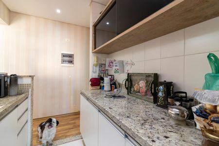 Apartamento à venda com 62m², 2 quartos e 1 vaga Apartamento à venda com 62m², 2 quartos e 1 vagaCozinha