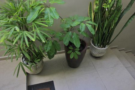 Casa à venda com 238m², 3 quartos e 3 vagasCorredor lateral do imóvel