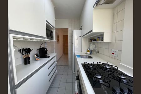 Apartamento à venda com 50m², 2 quartos e 1 vaga Apartamento à venda com 50m², 2 quartos e 1 vagaCozinha