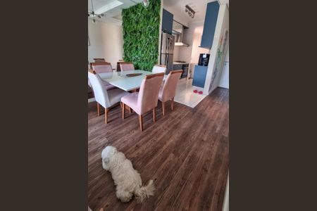 Apartamento à venda com 2 quartos, 55m² em Vila Humaita, Santo André