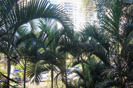 Vista da Sala de apartamento à venda com 2 quartos, 55m² em Vila Andrade, São Paulo