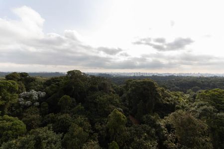 Apartamento para alugar com 45m², 2 quartos e 1 vagaVista do Quarto 1