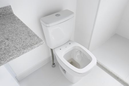 Apartamento para alugar com 59m², 2 quartos e 1 vaga Apartamento para alugar com 59m², 2 quartos e 1 vagaBanheiro da Suíte