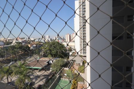 Apartamento à venda com 227m², 4 quartos e 4 vagasVista da Suíte 1