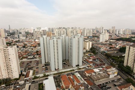 Vista da Sala de apartamento para alugar com 2 quartos, 49m² em Maranhão, São Paulo
