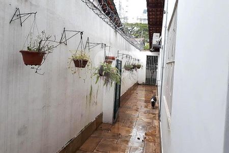Casa à venda com 2 quartos, 100m² em Vila Cordeiro, São Paulo