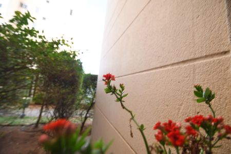 Apartamento à venda com 77m², 2 quartos e 1 vagaÁrea de Serviço - Vista