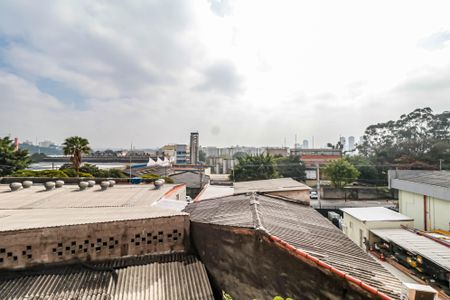 Apartamento para alugar com 40m², 1 quarto e sem vagaVista