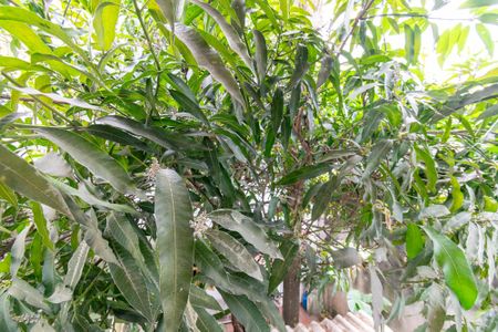 Casa à venda com 180m², 4 quartos e 2 vagas Casa à venda com 180m², 4 quartos e 2 vagasVista do Quarto 2