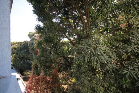 Apartamento à venda com 50m², 2 quartos e 1 vagaVIsta do Quarto 2