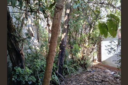 Casa à venda com 203m², 2 quartos e 2 vagas