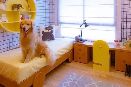 Apartamento à venda com 3 quartos, 210m² em Campo Belo, São Paulo