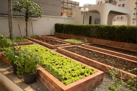 Apartamento para alugar com 80m², 3 quartos e 1 vaga Apartamento para alugar com 80m², 3 quartos e 1 vagaÁrea comum - Horta