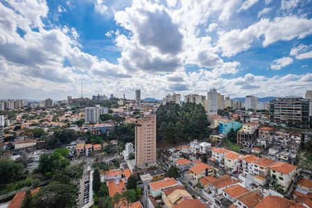 Apartamento à venda com 555m², 7 quartos e 6 vagasTerraço - VIsta