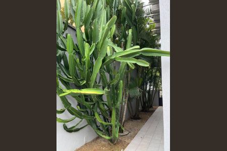 Casa de condomínio à venda com 535m², 4 quartos e 8 vagas