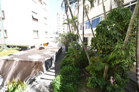 Sala - Vista de apartamento para alugar com 1 quarto, 90m² em Centro, Campinas