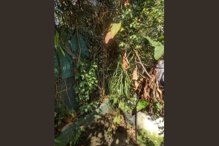 Casa à venda com 114m², 3 quartos e 2 vagasFoto 19