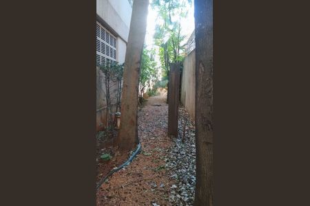 Apartamento à venda com 50m², 2 quartos e 1 vaga Apartamento à venda com 50m², 2 quartos e 1 vagaÁrea comum - Petplace