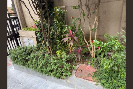 Apartamento para alugar com 45m², 1 quarto e 1 vaga Apartamento para alugar com 45m², 1 quarto e 1 vagaJardim