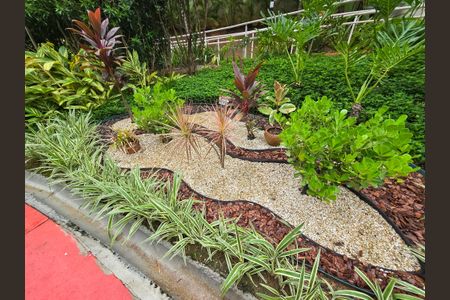 Apartamento à venda com 64m², 3 quartos e 1 vagaBosque