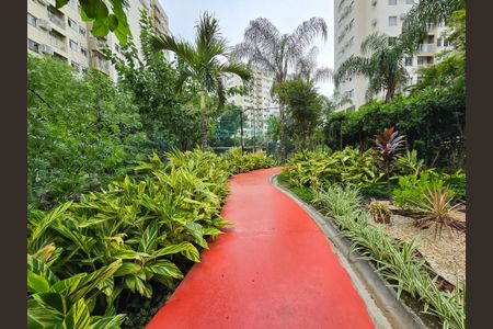 Apartamento à venda com 64m², 3 quartos e 1 vagaBosque