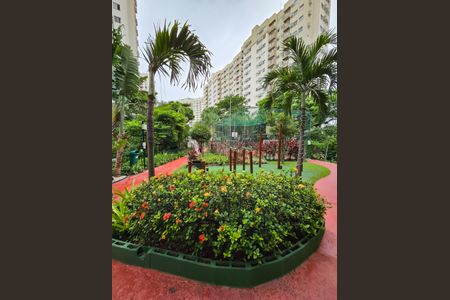 Apartamento à venda com 64m², 3 quartos e 1 vagaBosque