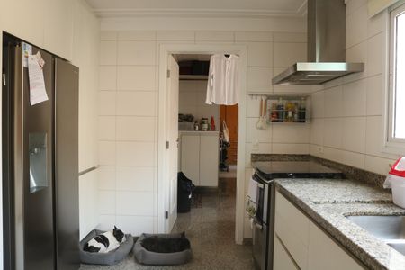 Apartamento para alugar com 267m², 4 quartos e 5 vagasCozinha