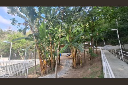 Apartamento para alugar com 50m², 2 quartos e 1 vaga Apartamento para alugar com 50m², 2 quartos e 1 vagaÁrea comum - Piscina