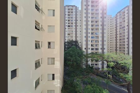 Apartamento à venda com 65m², 3 quartos e 1 vaga Apartamento à venda com 65m², 3 quartos e 1 vagaVista Quarto 2
