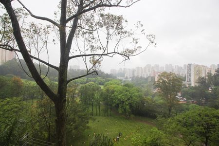 Vista da Varanda da Sala de apartamento para alugar com 3 quartos, 69m² em Vila Andrade, São Paulo